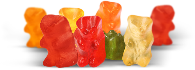 Vegan Bears